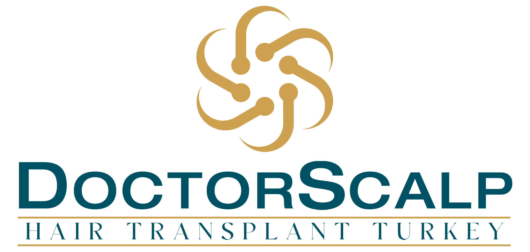 Logo Img